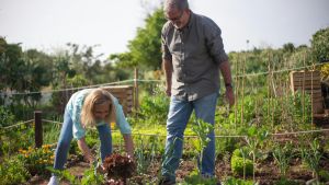 Gezondheid als investering: oproep aan nieuw kabinet