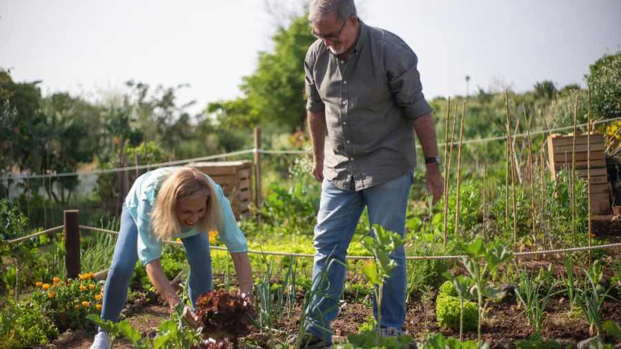 Gezondheid als investering: oproep aan nieuw kabinet